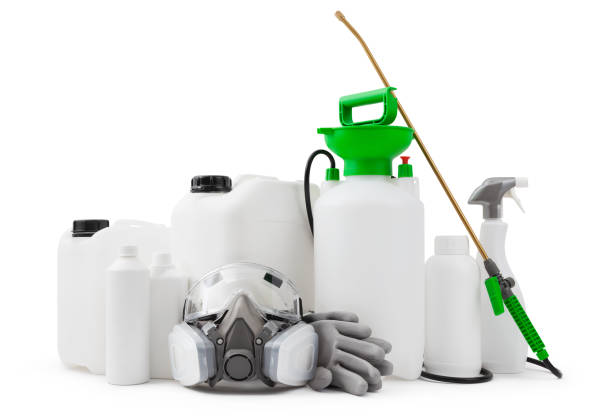 istockphoto 1496038886 612x612 istockphoto 1496038886 612x612